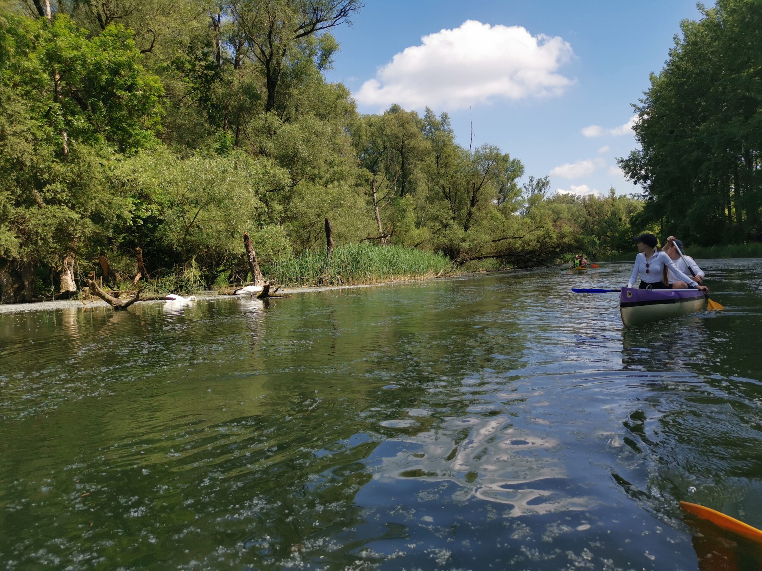 Kenutúra a Szigetközben